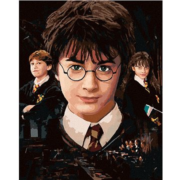 

Harry Potter, Hermiona a Ron, 40×50 cm, vypnuté plátno na rám
