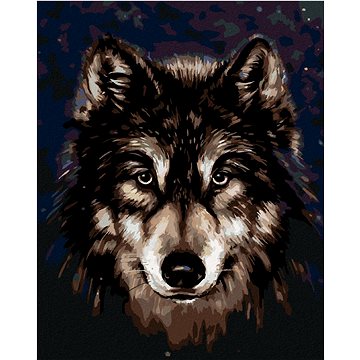 

Hlava huskyho na tmavém pozadí, 40×50 cm, vypnuté plátno na rám