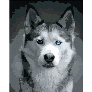 

Hlava huskyho, 40×50 cm, bez rámu a bez vypnutí plátna