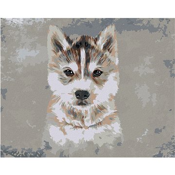 

Husky na šedém pozadí, 40×50 cm, vypnuté plátno na rám