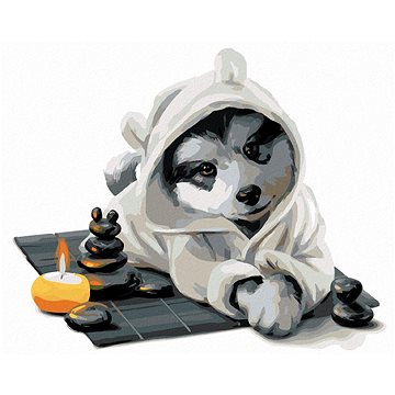 

Husky relaxuje, 40×50 cm, vypnuté plátno na rám