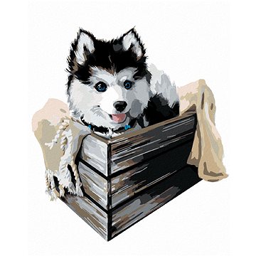 

Husky v krabici, 80×100 cm, bez rámu a bez vypnutí plátna
