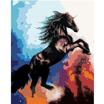 

Jednorožec ve vesmíru, 80×100 cm, bez rámu a bez vypnutí plátna