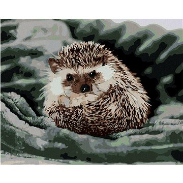 

Ježek na zelené dece, 40×50 cm, bez rámu a bez vypnutí plátna