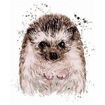 

Ježek s bílým pozadím, 40×50 cm, vypnuté plátno na rám