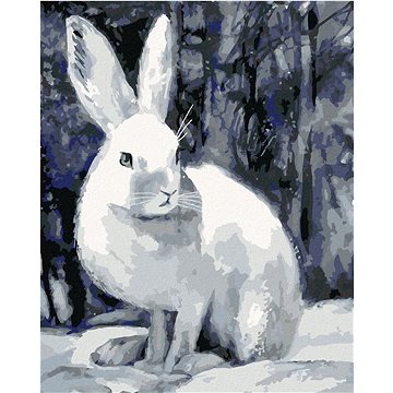 

Králík v zimě u lesa, 40×50 cm, vypnuté plátno na rám