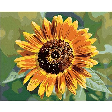 

Květ slunečnice, 40×50 cm, bez rámu a bez vypnutí plátna