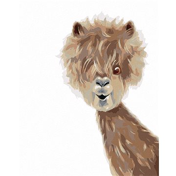 

Lama, 80×100 cm, vypnuté plátno na rám