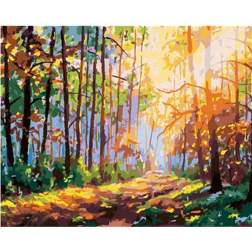 

Les s odrazem sluníčka, 40×50 cm, vypnuté plátno na rám