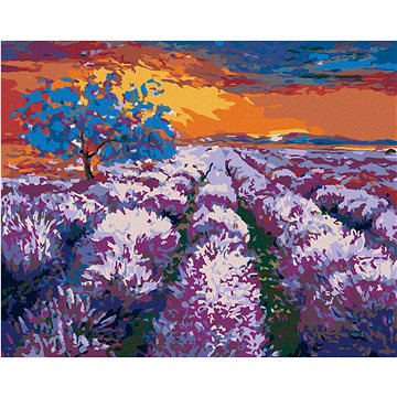 

Levandulové pole při západu slunce II, 80×100 cm, bez rámu a bez vypnutí plátna