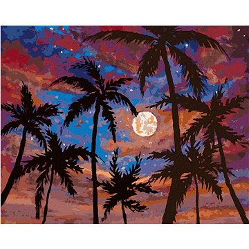 

Měsíc mezi palmami, 40×50 cm, vypnuté plátno na rám
