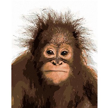 

Mladý orangutan, 80×100 cm, bez rámu a bez vypnutí plátna