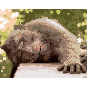 

Odpočívající opice, 40×50 cm, bez rámu a bez vypnutí plátna