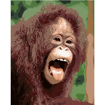 

Orangutan s otevřenou tlamou, 40×50 cm, vypnuté plátno na rám