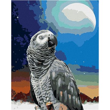 

Papoušek a měsíc, 40×50 cm, vypnuté plátno na rám