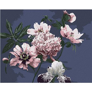 

Pivoňky na černém pozadí, 80×100 cm, bez rámu a bez vypnutí plátna