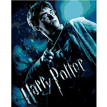 

Plakát Harry Potter a princ dvojí krve, 40×50 cm, bez rámu a bez vypnutí plátna