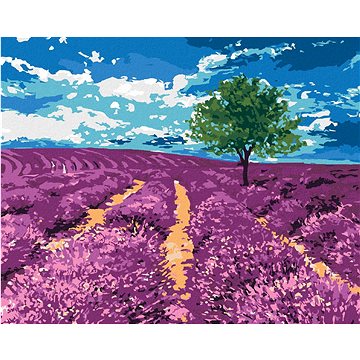 

Pole levandulí se stromem, 80×100 cm, vypnuté plátno na rám