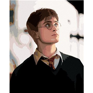 

Portrét Harry Potter, 40×50 cm, vypnuté plátno na rám