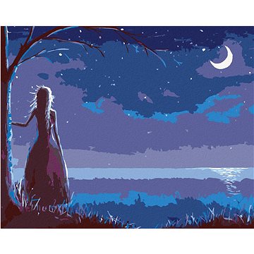 

Princezna dívající se na měsíc, 80×100 cm, bez rámu a bez vypnutí plátna
