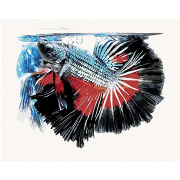

Ryba bojovnice pestrá, 40×50 cm, vypnuté plátno na rám