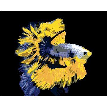 

Ryba bojovnice žlutomodrá, 80×100 cm, vypnuté plátno na rám
