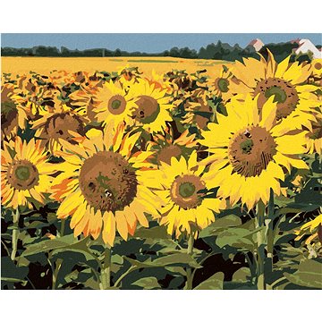 

Slunečnice na poli 2, 80×100 cm, vypnuté plátno na rám