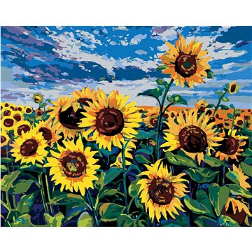 

Slunečnice pod modrou oblohou, 80×100 cm, vypnuté plátno na rám