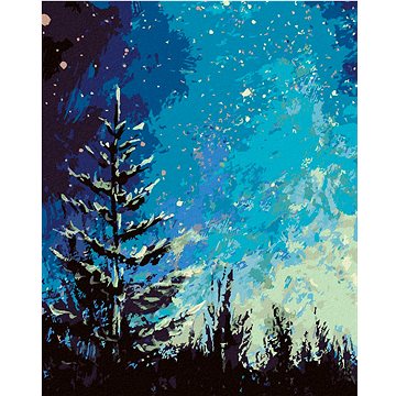 

Strom a noční obloha v lese, 40×50 cm, bez rámu a bez vypnutí plátna