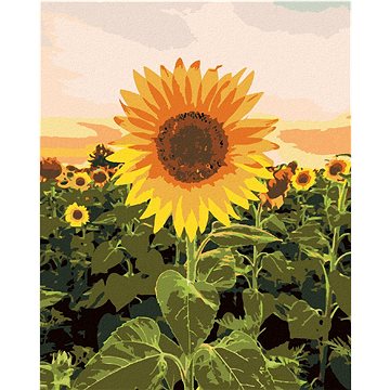 

Úžasná slunečnice, 40×50 cm, vypnuté plátno na rám