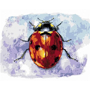 

Velká beruška, 80×100 cm, bez rámu a bez vypnutí plátna