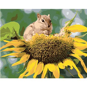 

Veverka u slunečnice, 80×100 cm, bez rámu a bez vypnutí plátna