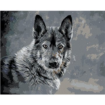 

Vlk na šedém pozadí, 40×50 cm, vypnuté plátno na rám