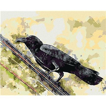 

Vrána na drátě, 40×50 cm, bez rámu a bez vypnutí plátna
