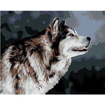 

Vyhlížející husky, 40×50 cm, bez rámu a bez vypnutí plátna