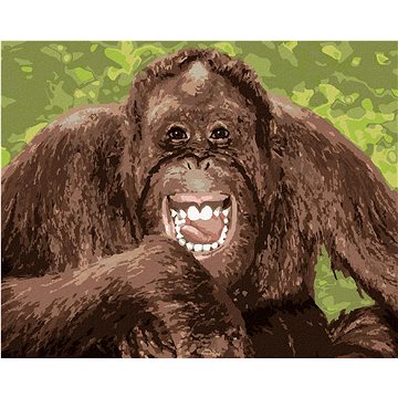 

Vysmátý orangutan, 80×100 cm, bez rámu a bez vypnutí plátna