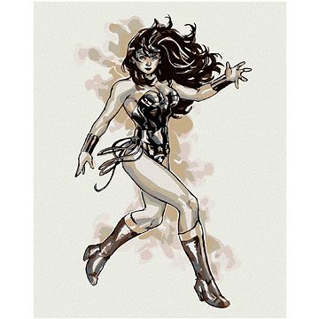 

Wonder Woman černobílý plakát III, 40×50 cm, bez rámu a bez vypnutí plátna