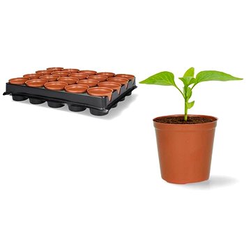 

IGOTREND Květináč sadbový 6 cm, 20 ks