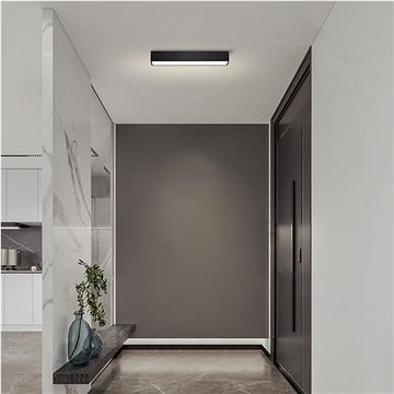 

IMMAX NEO LITE LUNGO Smart, černé, 58 cm 20W 1520lm Tuya WiFi BEACON