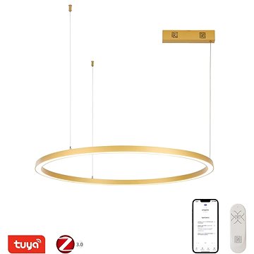 

IMMAX NEO FINO NEW Smart závěsné svítidlo 1 kruh, 80 cm, 60 W, zlaté, Zigbee 3.0