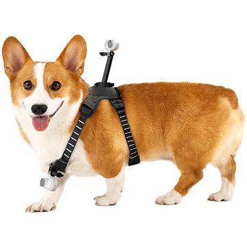 

Insta360 Pet Harness Mount Size M