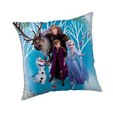 

Jerry Fabrics Polštářek Frozen 02 Family 40 × 40 cm