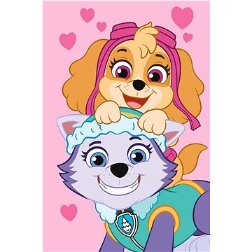 

Jerry Fabrics Dětská fleecová deka Paw Patrol PP518 100 × 150 cm