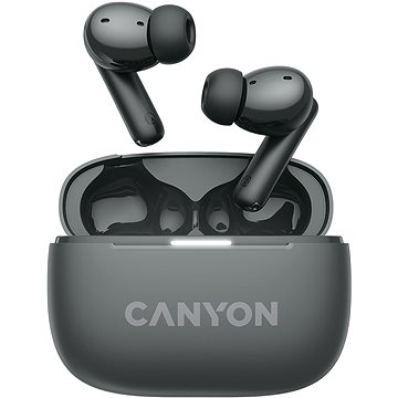 

Canyon TWS-10 BT černá