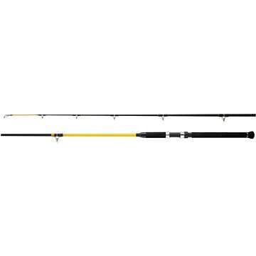 

WFT - Prut Never Crack Fjordspin 2,4m 300-1000g