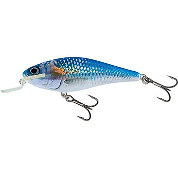 

Salmo Executor Shallow Runner 12cm 33g Holo Shiner