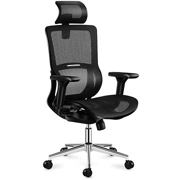 

MARK ADLER Expert 6.2