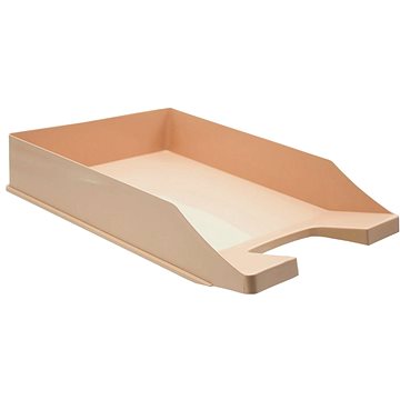 

Karton P+P Zásuvka A4 PASTELINI meruňková