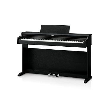 

KAWAI KDP 120 B