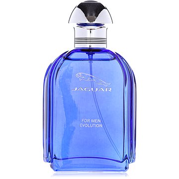 

JAGUAR For Men Evolution EdT 100 ml